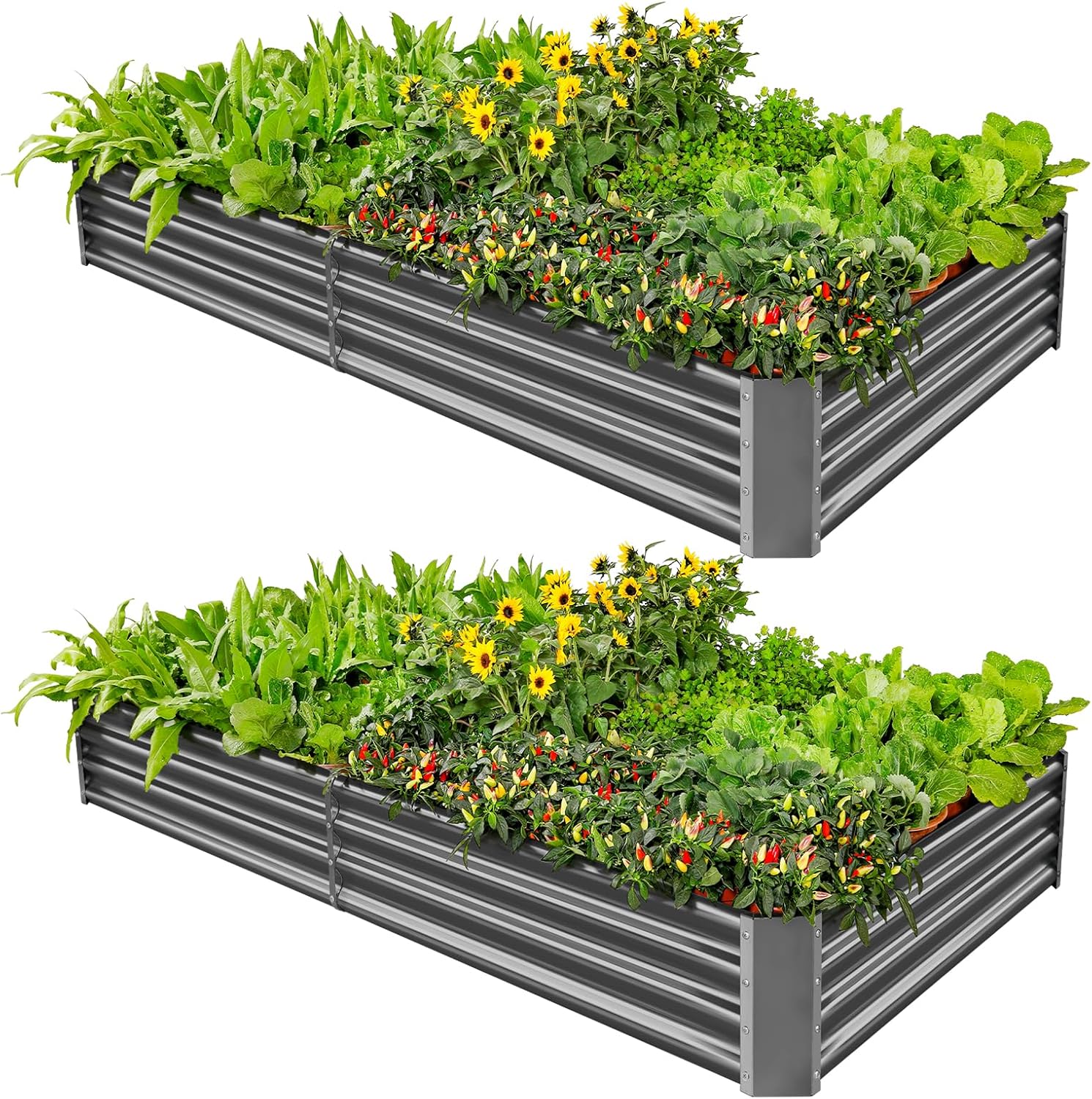 Land Guard 2 Pack 8×4×1ft Galvanized Metal Raised Garden Bed, Metal Planter Kit Box Outdoor for
