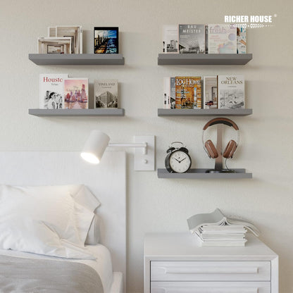 RICHER HOUSE Mounted Shelves for Wall Decor, Modern Picture Ledge Shelf with Lip for Wall Storage