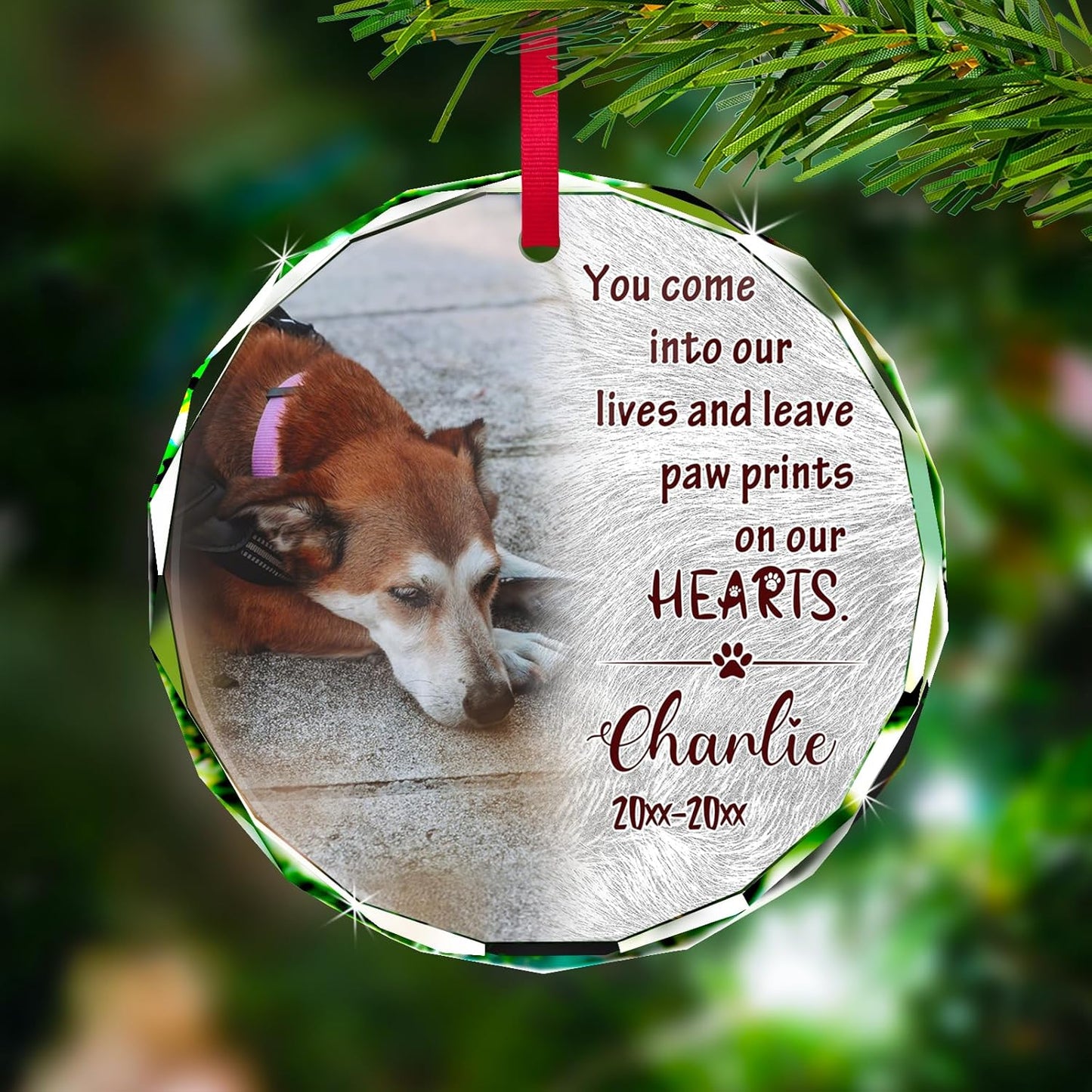 Personalized Memorial Pet Glass Ornament - Custom Picture Christmas Ornaments, Dog Forever in Our