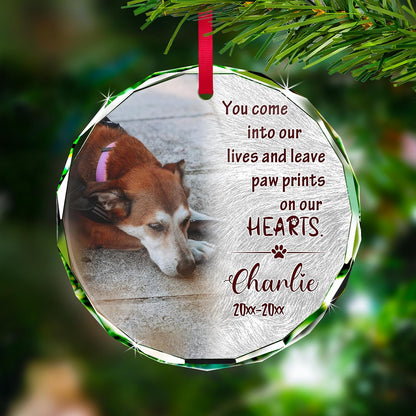 Personalized Memorial Pet Glass Ornament - Custom Picture Christmas Ornaments, Dog Forever in Our