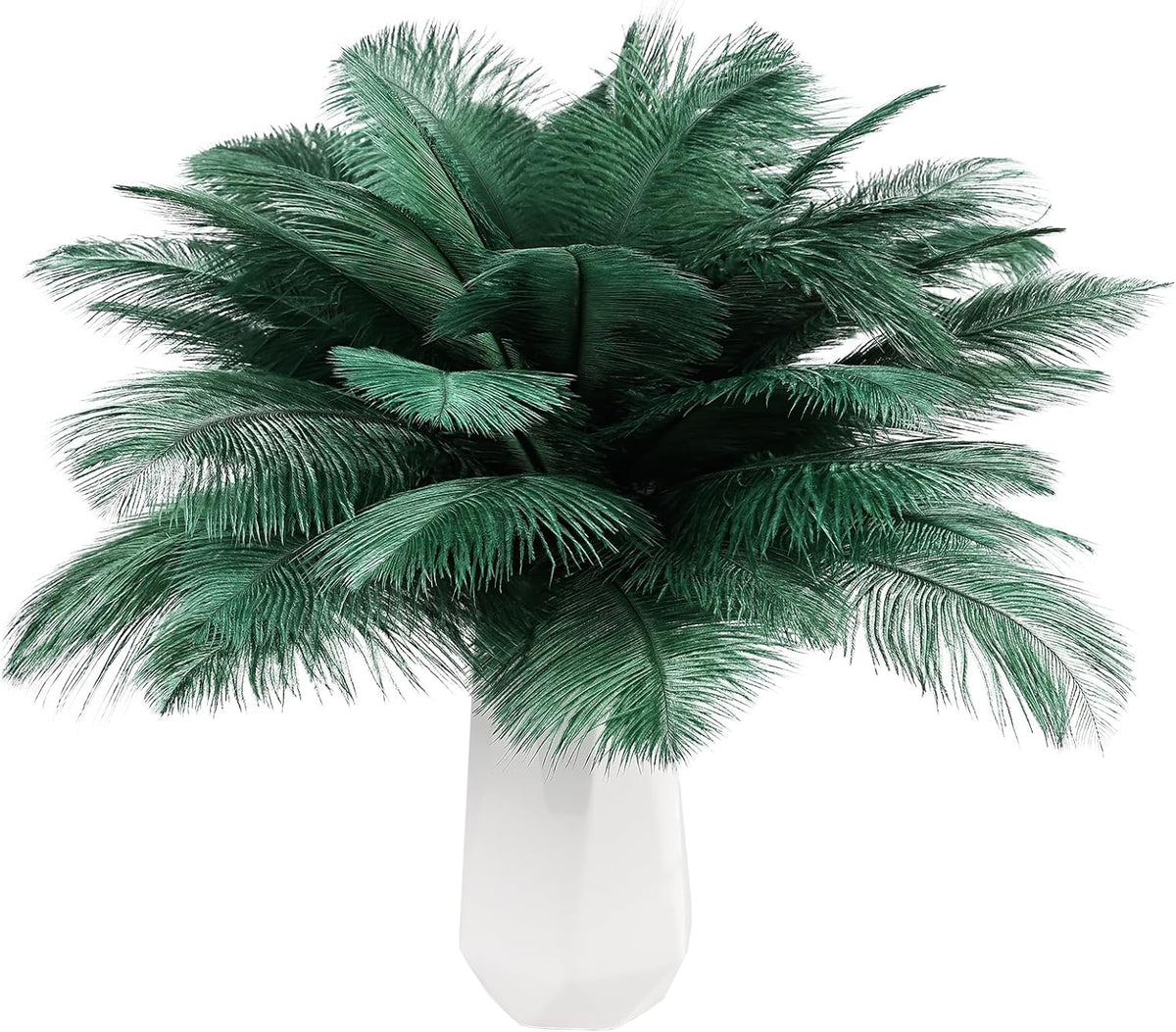 THARAHT Blackish Green Ostrich Feathers 12pcs Natural Bulk 8-10Inch 20cm-25cm for Crafts Wedding