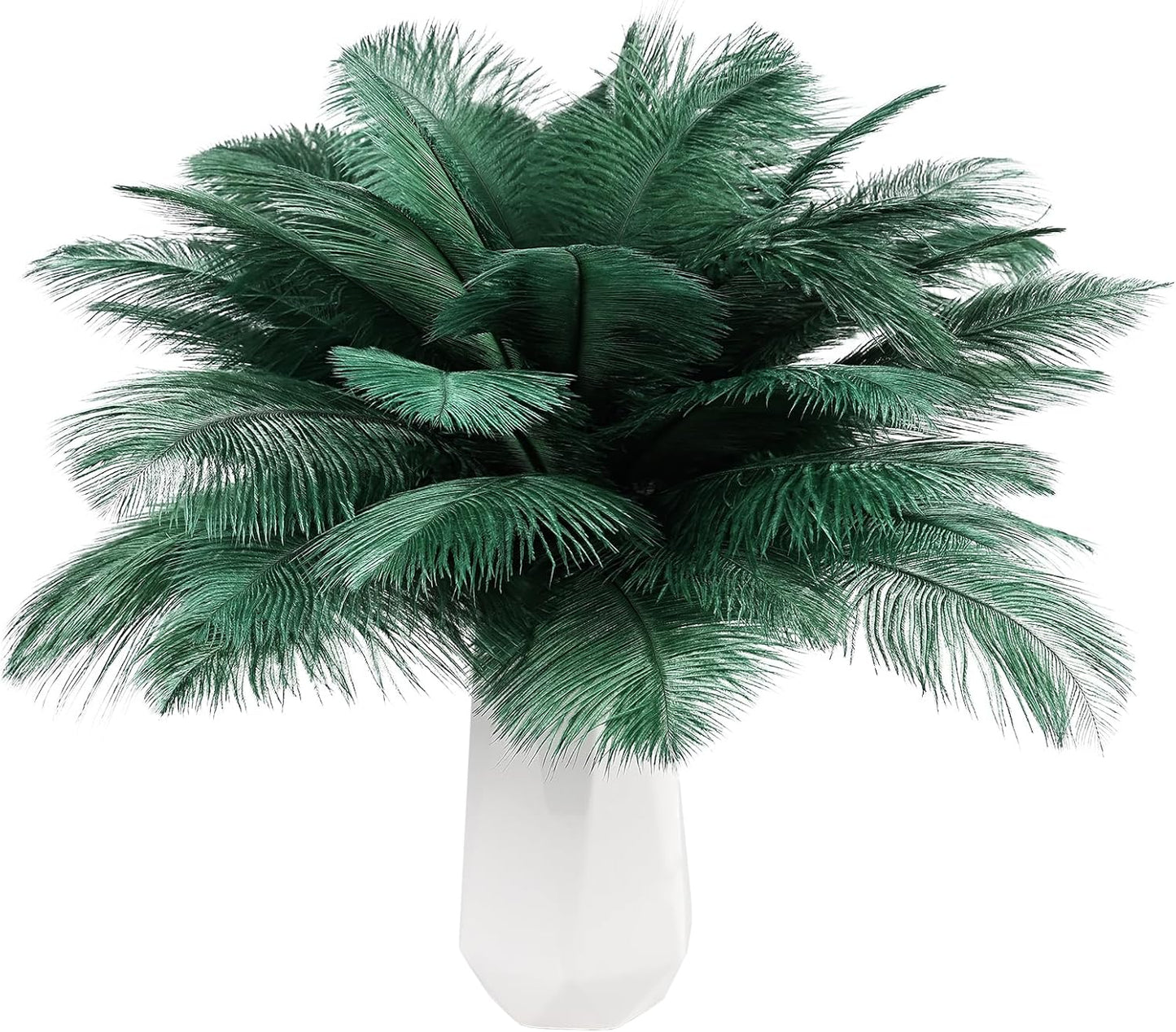 THARAHT Blackish Green Ostrich Feathers 24pcs Natural Bulk 8-10Inch 20cm-25cm for Crafts Wedding