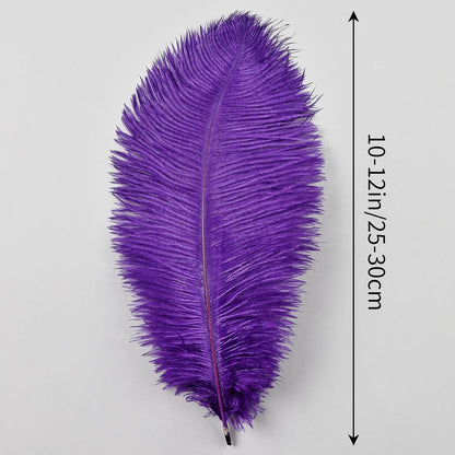 THARAHT Purple Ostrich Feathers 12pcs Natural Bulk 10-12Inch 25cm-30cm for Crafts Wedding Party