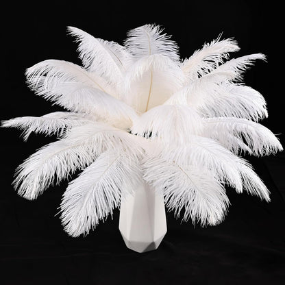 THARAHT White Ostrich Feathers 12pcs Natural Bulk 8-10Inch 20cm-25cm for Crafts Wedding Party