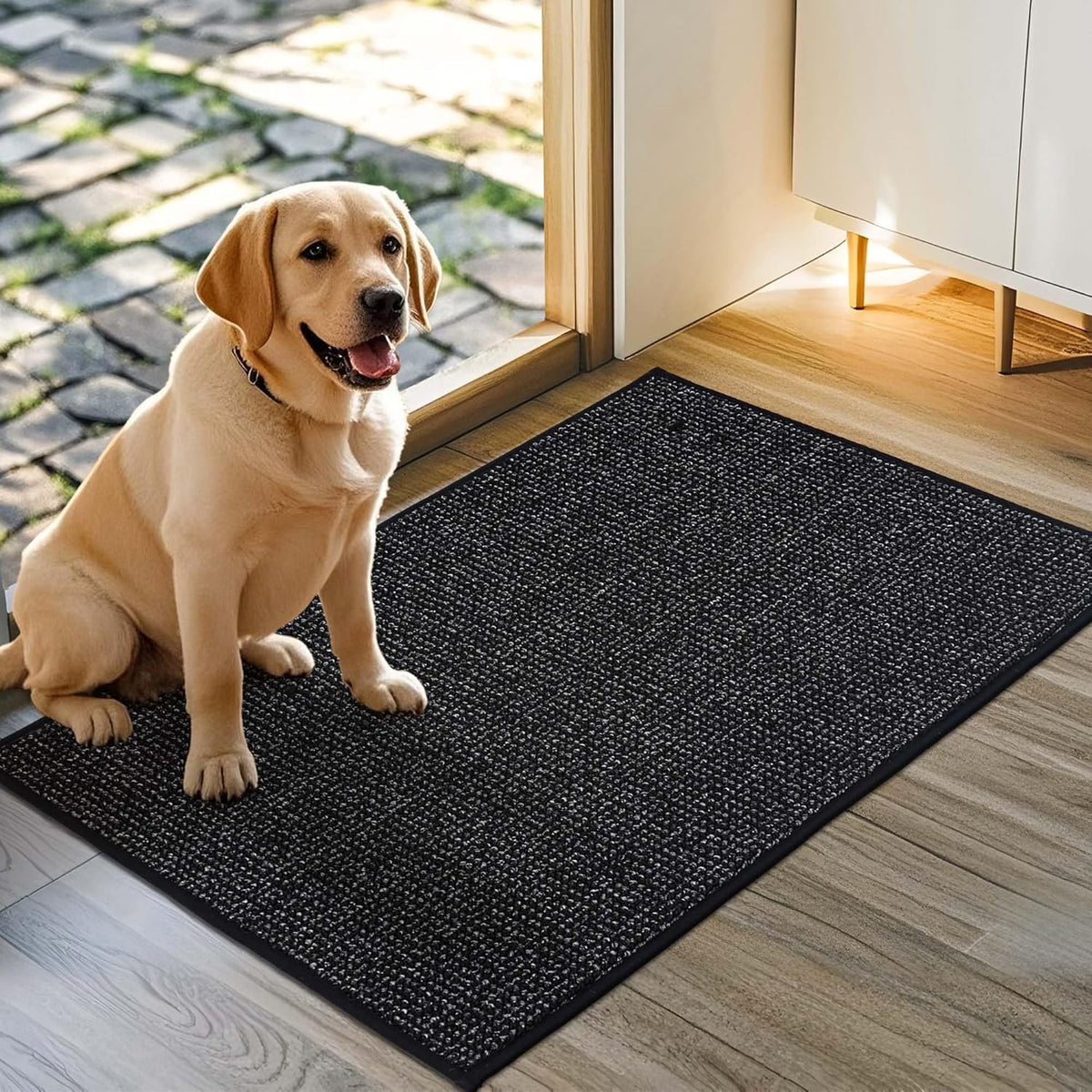 JSEI Dirt Trapper Door Mat 24"x36" Non-Slip Washable Entrance Mat, Dog Doormats, Absorbent &