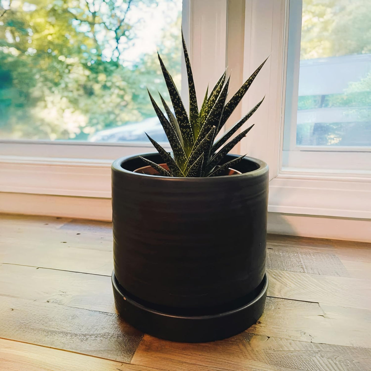 6 Inch Plant Pots, Ceramic Planter Pot with Drainage Hole & Saucer, Indoor/Outdoor Cylinder Round