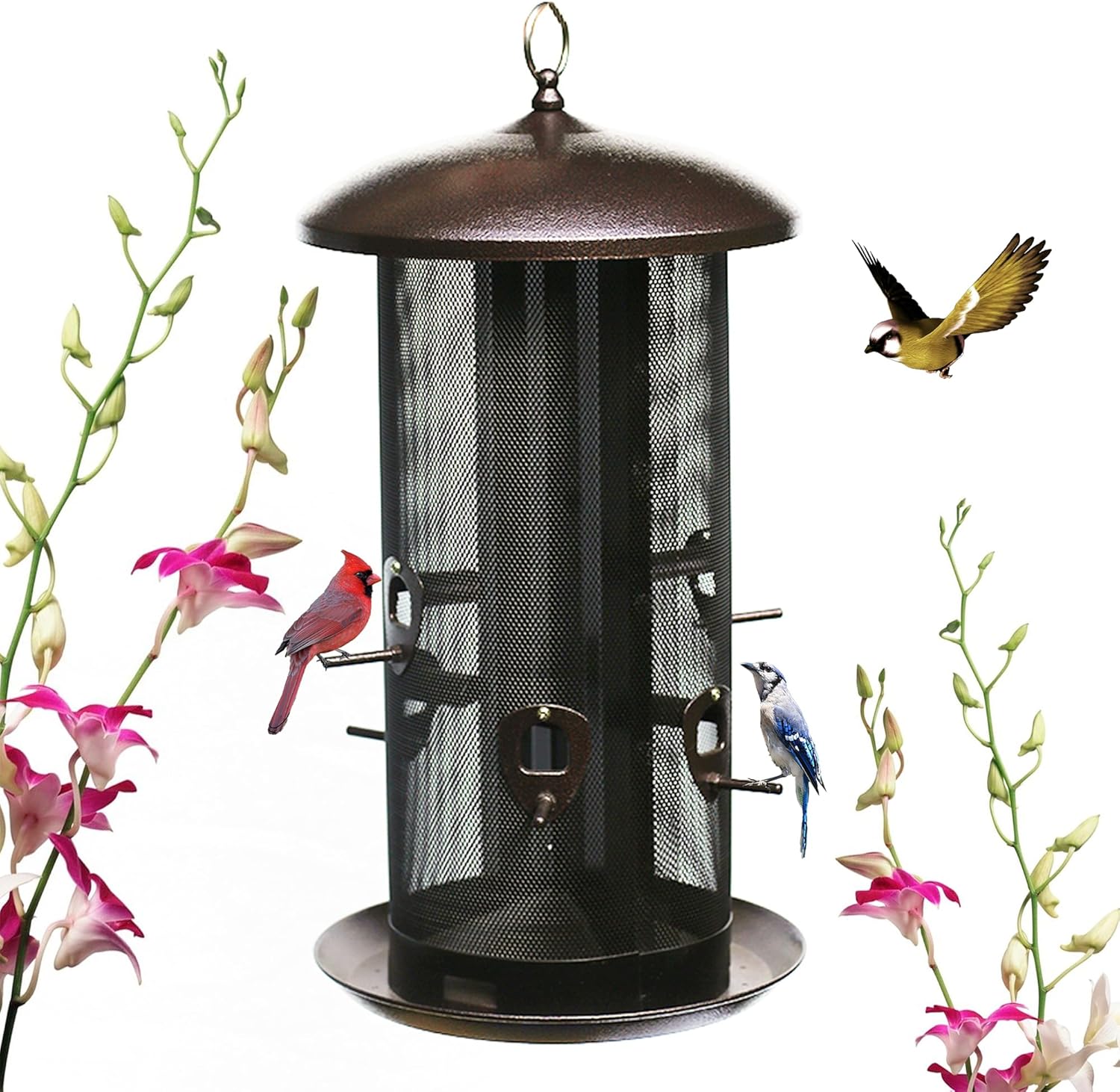 Nature's Rhythm Metal Hopper Bird Feeder, Dual Seed Compartments, 10 Feeding Ports, Holds 10lbs