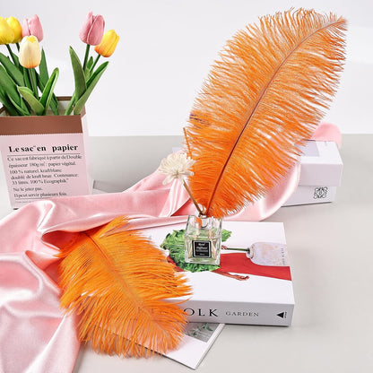 THARAHT Orange Ostrich Feathers 24pcs Natural Bulk 8-10Inch 20cm-25cm for Crafts Wedding Party