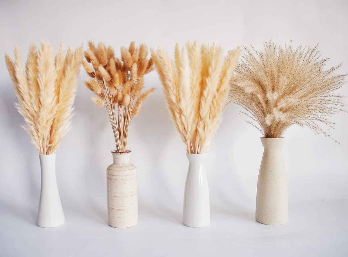 Natural Dried Pampas Grass Decor, Beige Pampas Grass, Bunny Tails Dried Flowers, Reed Grass Bouquet