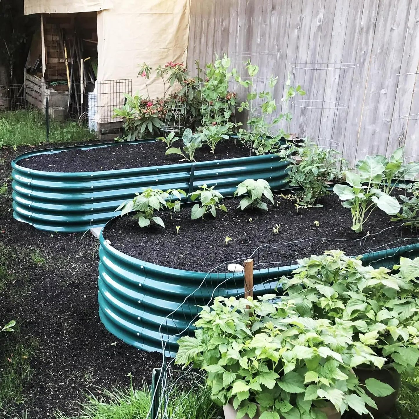 1 Pack 8x3x1.5FT Galvanized Raised Garden Bed Kit Oval Metal Ground Planter Box Outdoor Bottomless