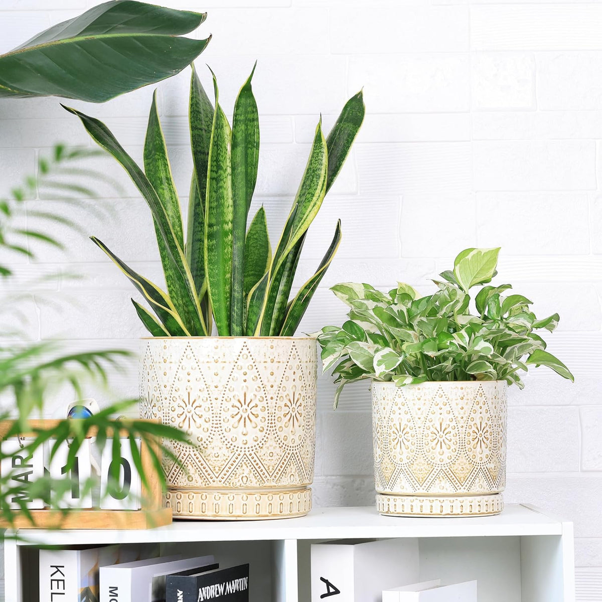 8 Inch + 6 Inch Indoor Plant Pot with Drainage Holes and Saucers, Ceramic Planter for Plants