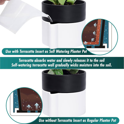 Phoenix Vine 6.5 Inch Self-Watering Planter Pot with Terracotta Insert, Deep Water Reservoir, and