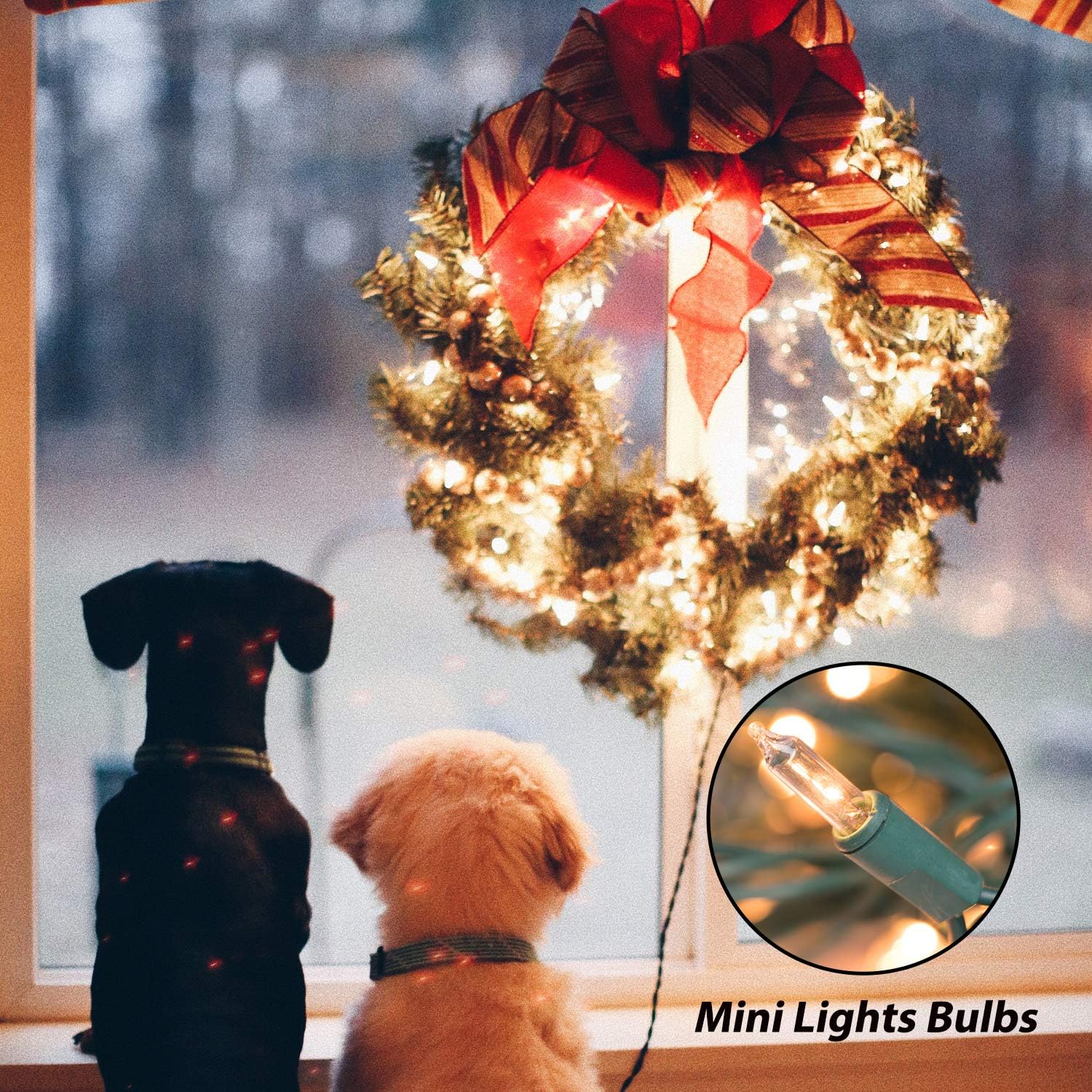 Clear Christmas String Lights 100 Count 25 Feet Incandescent Bulb Mini Lights for Indoor Xmas Tree