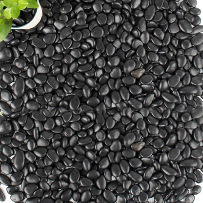 45lb Black Pebbles for Plants,Potting,Succulents Aquarium Fish Tank Vases Decorative Garden