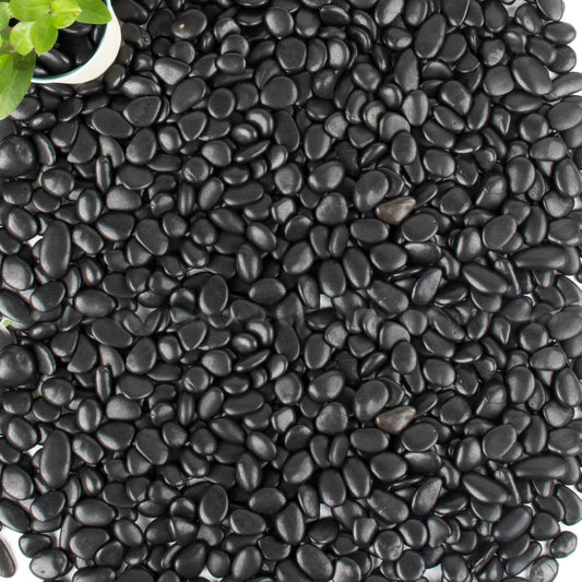 45lb Black Pebbles for Plants,Potting,Succulents Aquarium Fish Tank Vases Decorative Garden