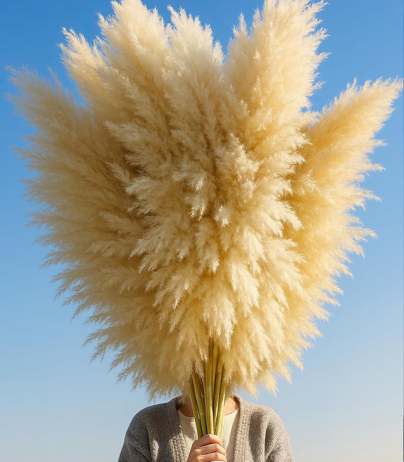 10 PCS 40" Tall Pampas Grass Stems in Natural Beige, Add a Boho Touch to Your Space—Pompas Grass