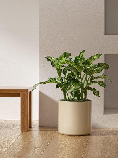 LE TAUCI 12 Inch Pots for Plants, Ceramic Large Plant Pot for Indoor Plants, Mid-Century Modern