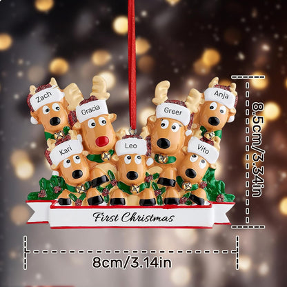 Personalized Christmas Ornaments 2025, Custom Reindeer Family Ornaments for Trees with Names
