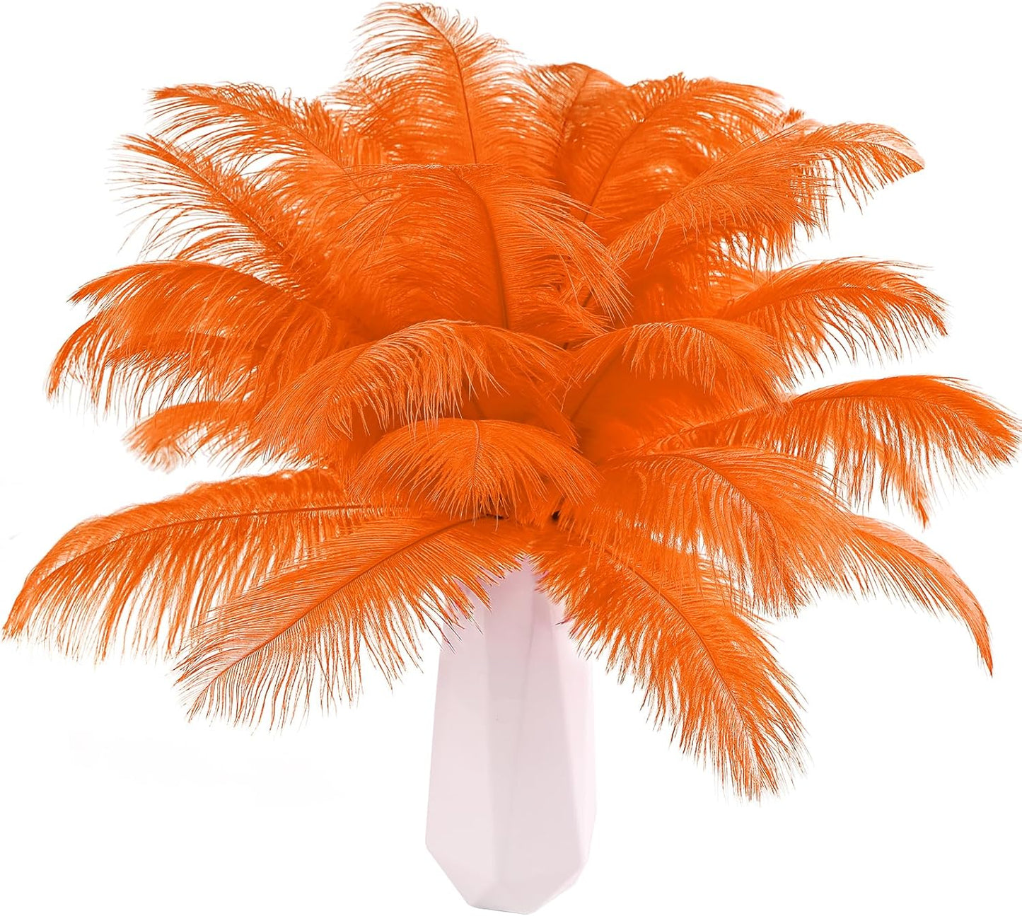 THARAHT Orange Ostrich Feathers 12pcs Natural Bulk 10-12Inch 25cm-30cm for Crafts Wedding Party