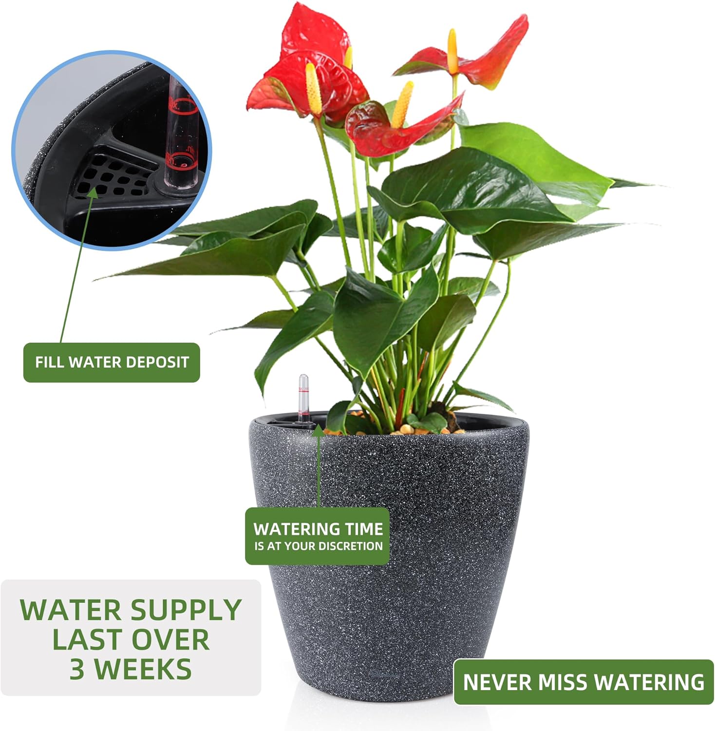 Dexceder 13x12 Self Watering Planter with Wheels Indoor Outdoor, Inner Pot Design, Thickened Large