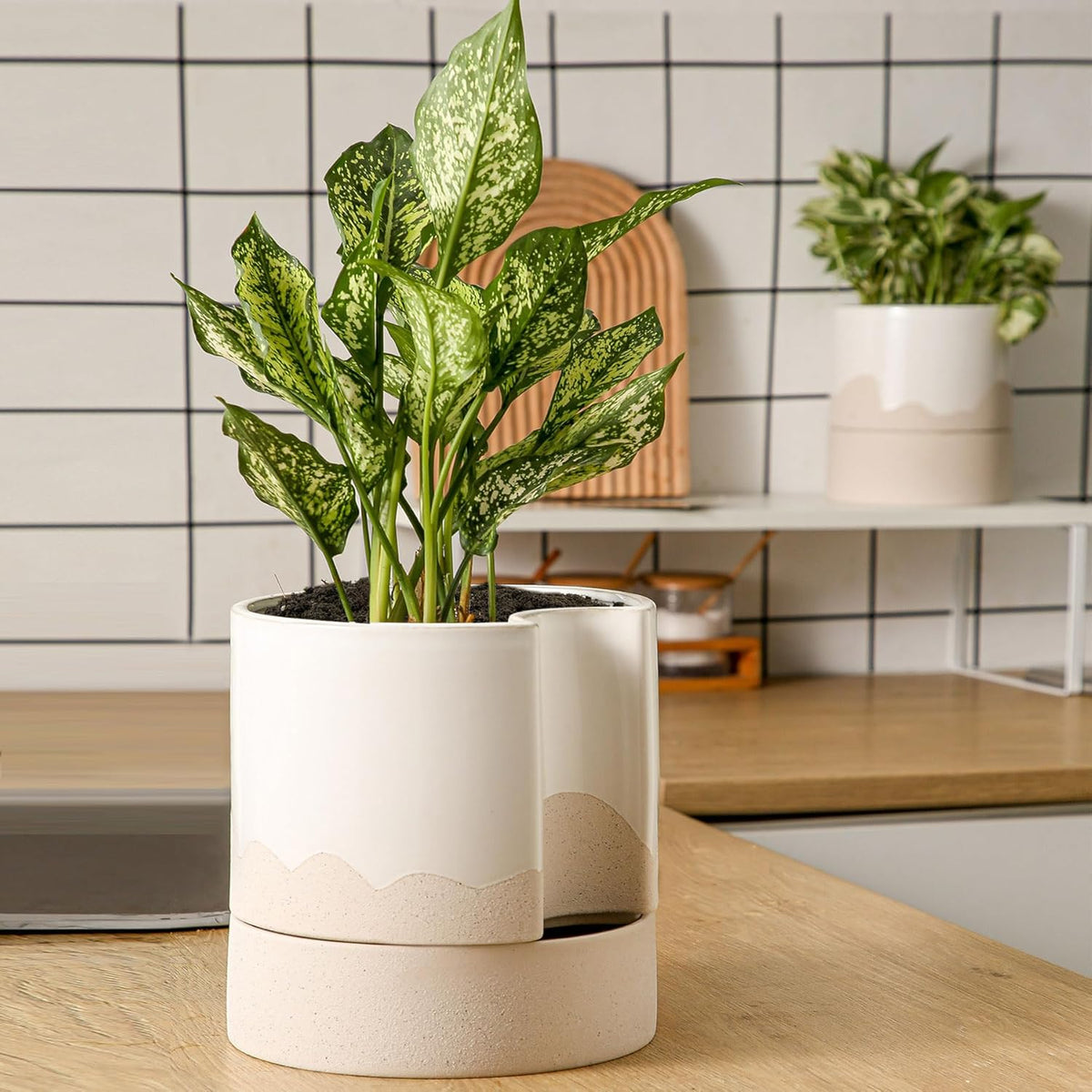 Nihow Self Watering Plant Pot: 8 Inch Ceramic Planter with Drainage Hole & Water Storage Plus for