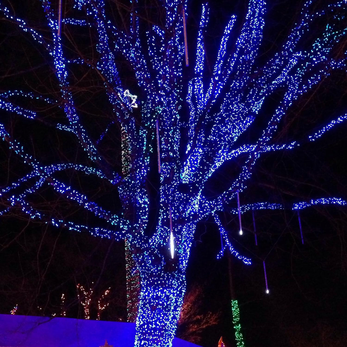 Dazzle Bright Outdoor Christmas String Lights, 1000 LED 328 FT Plug in Fairy Light with Remote