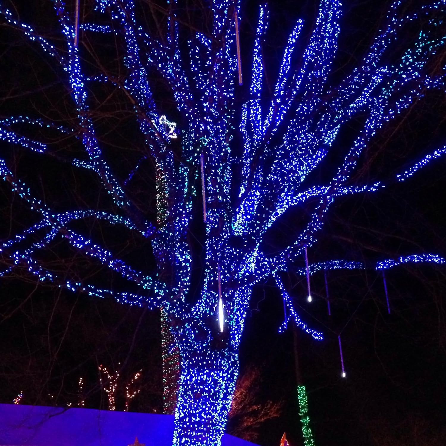 Dazzle Bright Outdoor Christmas String Lights, 1000 LED 328 FT Plug in Fairy Light with Remote