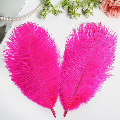 THARAHT Hot Pink Ostrich Feathers 24pcs Natural Bulk 10-12Inch 25cm-30cm for Crafts Wedding Party