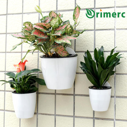 3 Pack Self Watering Wall Hanging Planter Pots Vertical Garden Window Hang Mount Indoor Outdoor