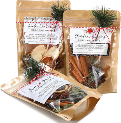 3 Pack Christmas Potpourri Simmer Pot Kit, Holiday Stovetop Potpourri, Botanical Air Freshener