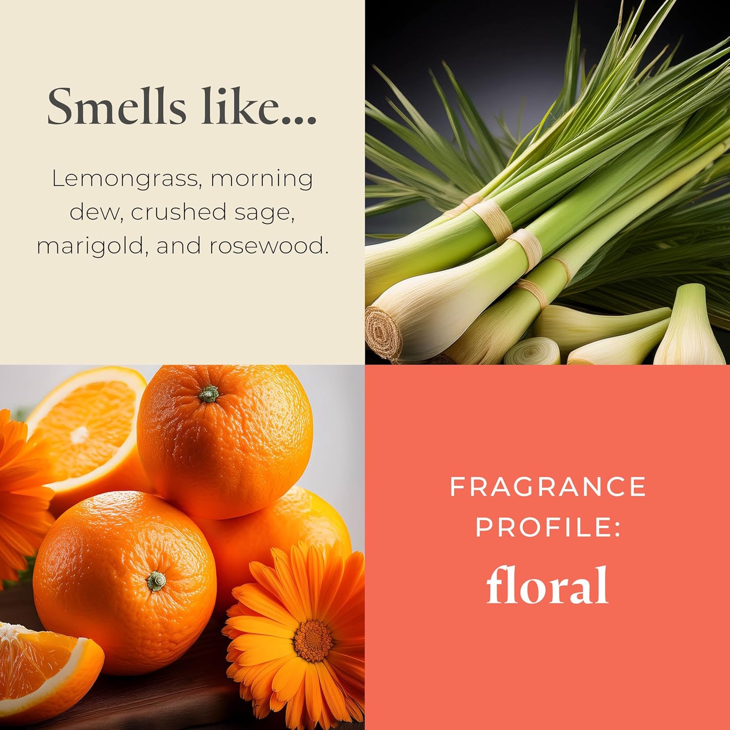 PartyLite Wild Sage & Rosewood Scented, Notes of Sage Leaf, Rosewood, Geranium Petals and