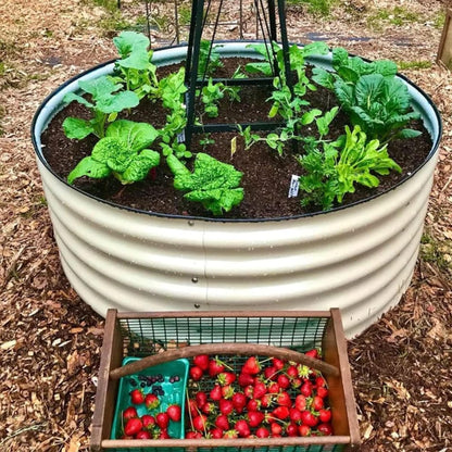 Round Raised Garden Bed Kit, 3.5x3.5x1.4Ft Outdoor Zinc-Aluminum-Magnesium Metal Flower Beds