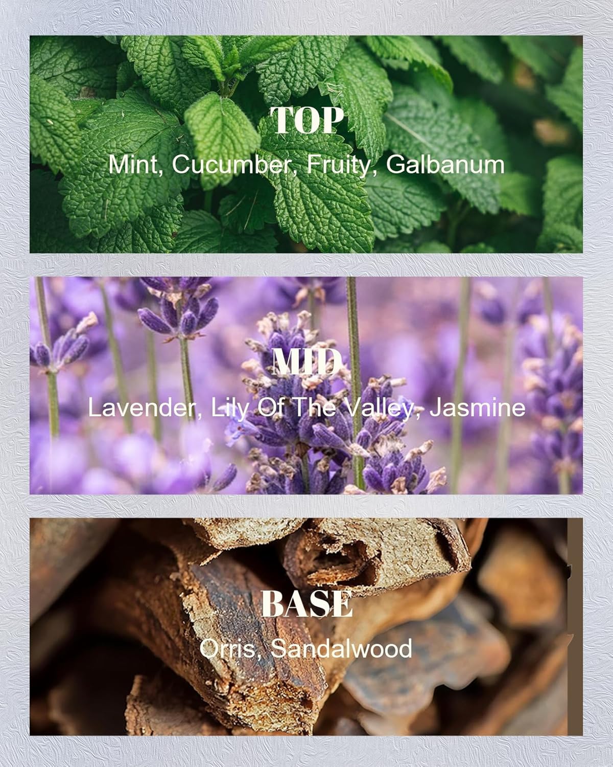M&SENSE Mint Lavender Scented Soy Candles - Vegan, Heavy Scented, No Toxin Relaxing Candles for