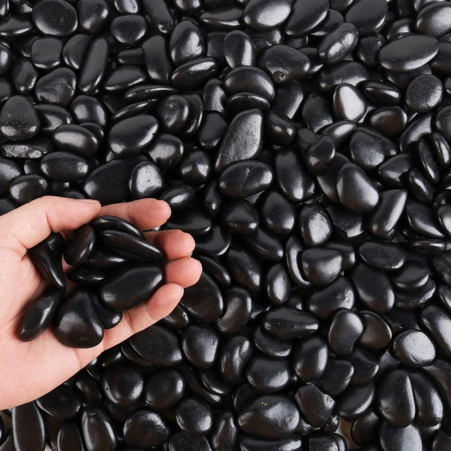 Black Pebbles for Plants 3lb Bulk Bag 0.5"- 1" Aquarium Gravel Decorative Polished Stone Natural