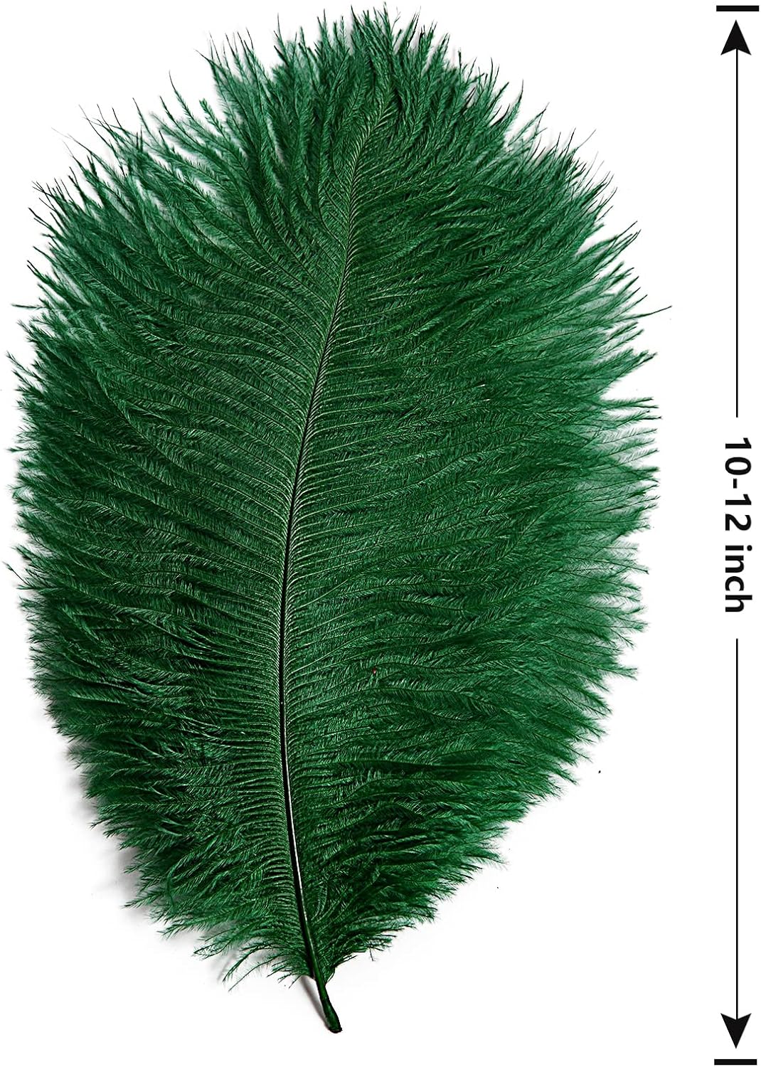 THARAHT Blackish Green Ostrich Feathers 12pcs Natural Bulk 10-12Inch 25cm-30cm for Crafts Wedding