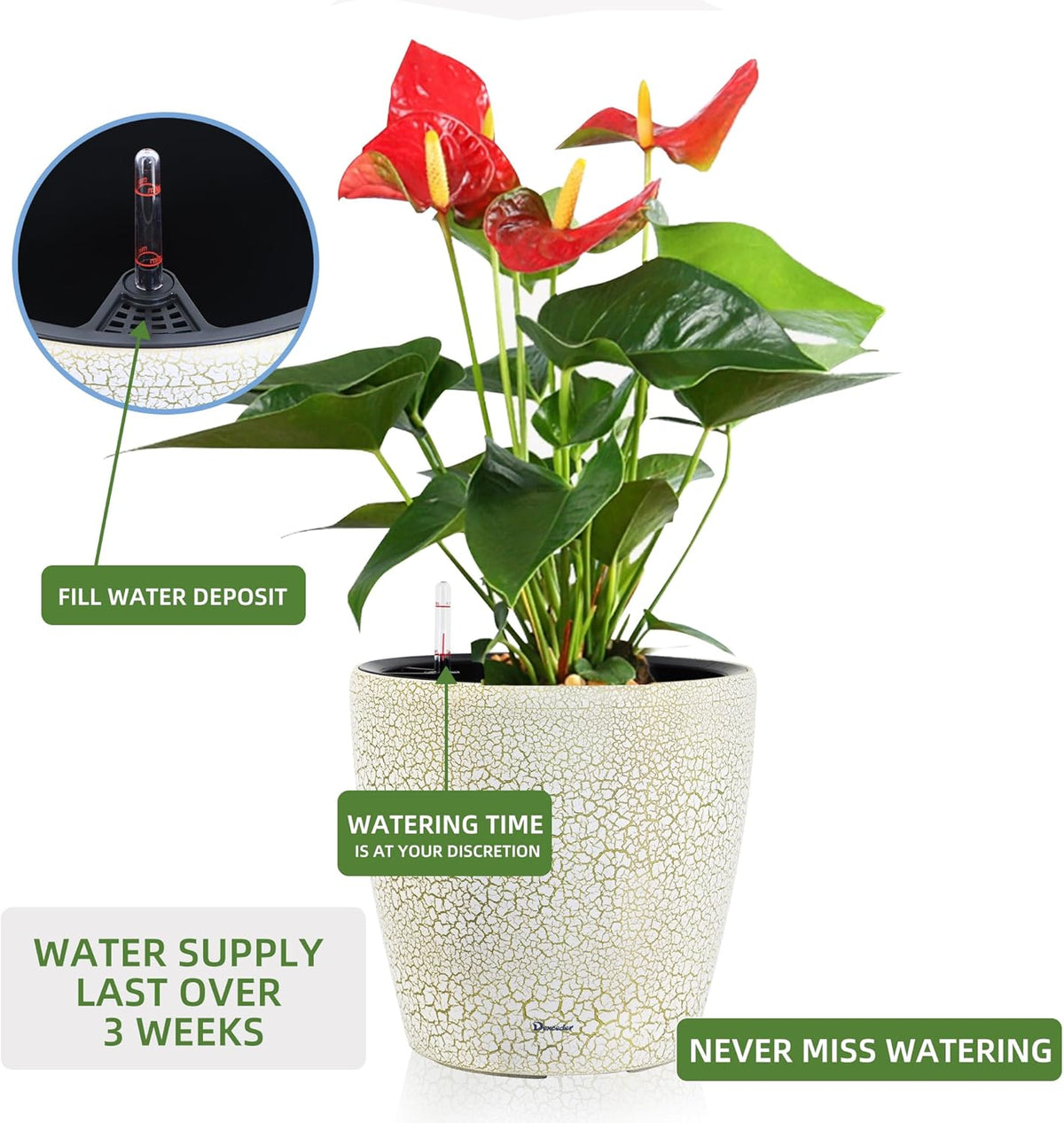 Dexceder 13x12 Self Watering Planter with Wheels Indoor Outdoor, Inner Pot Design, Thickened Large