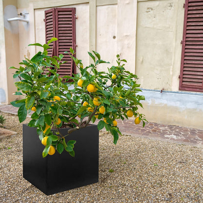 Galvanized Steel Planter Box Black Metal Planter Large Square Indoor Outdoor Planters Cube Steel