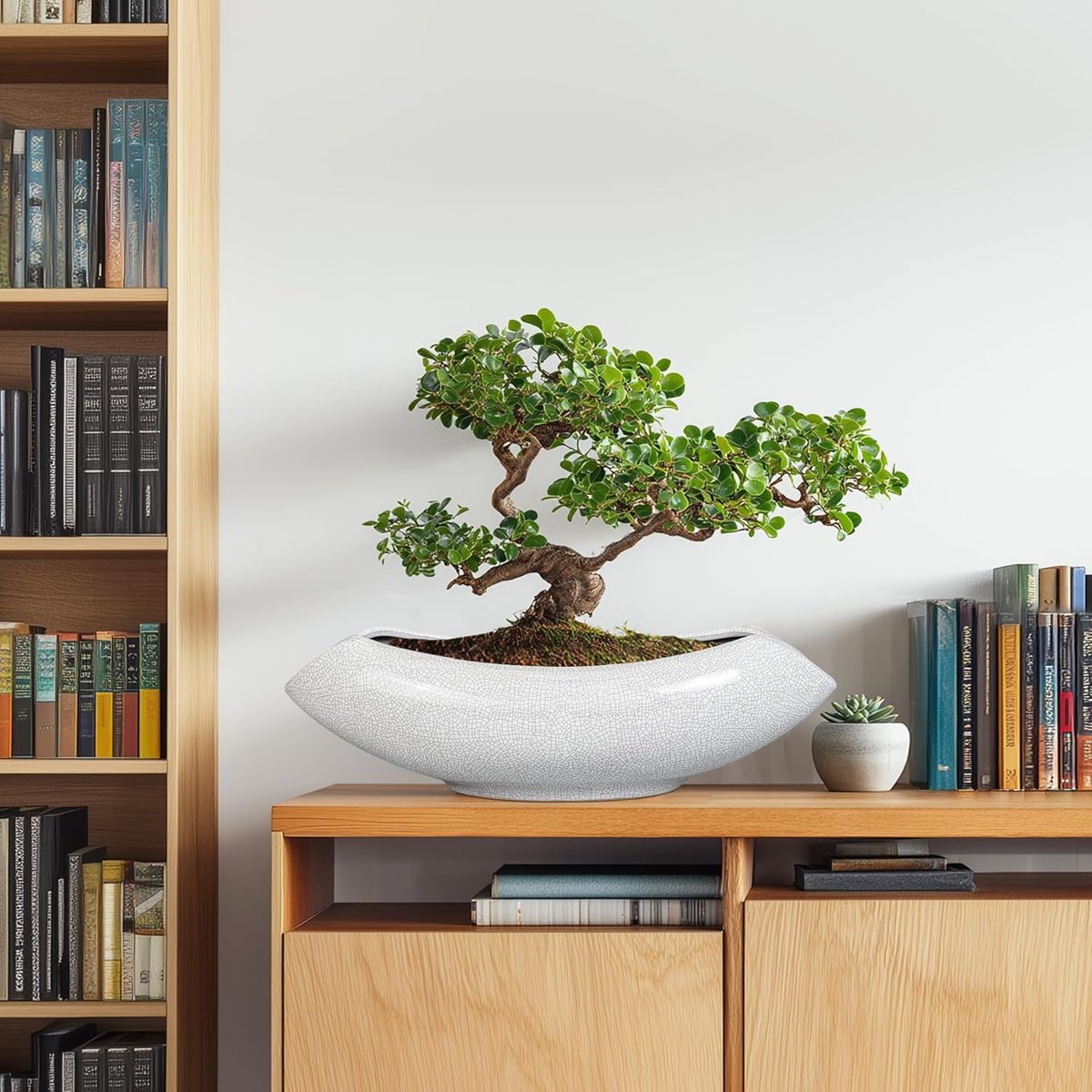 Ceramic Bonsai Tree Pot - 18 Inch Ceramic Pots for Plants, Large Succulent Planter with Drainage