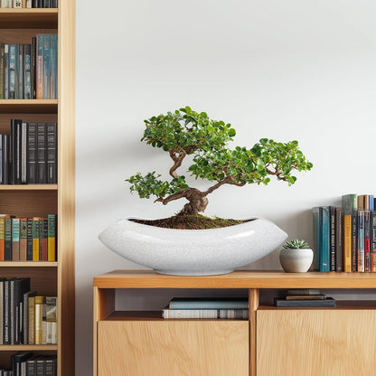 Ceramic Bonsai Tree Pot - 18 Inch Ceramic Pots for Plants, Large Succulent Planter with Drainage