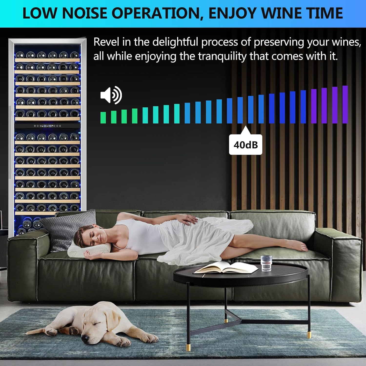 Dual Zone Wine Fridge Freestanding 175 Bottle, 24 Inch Large Capacity Built-in Wine Cooler