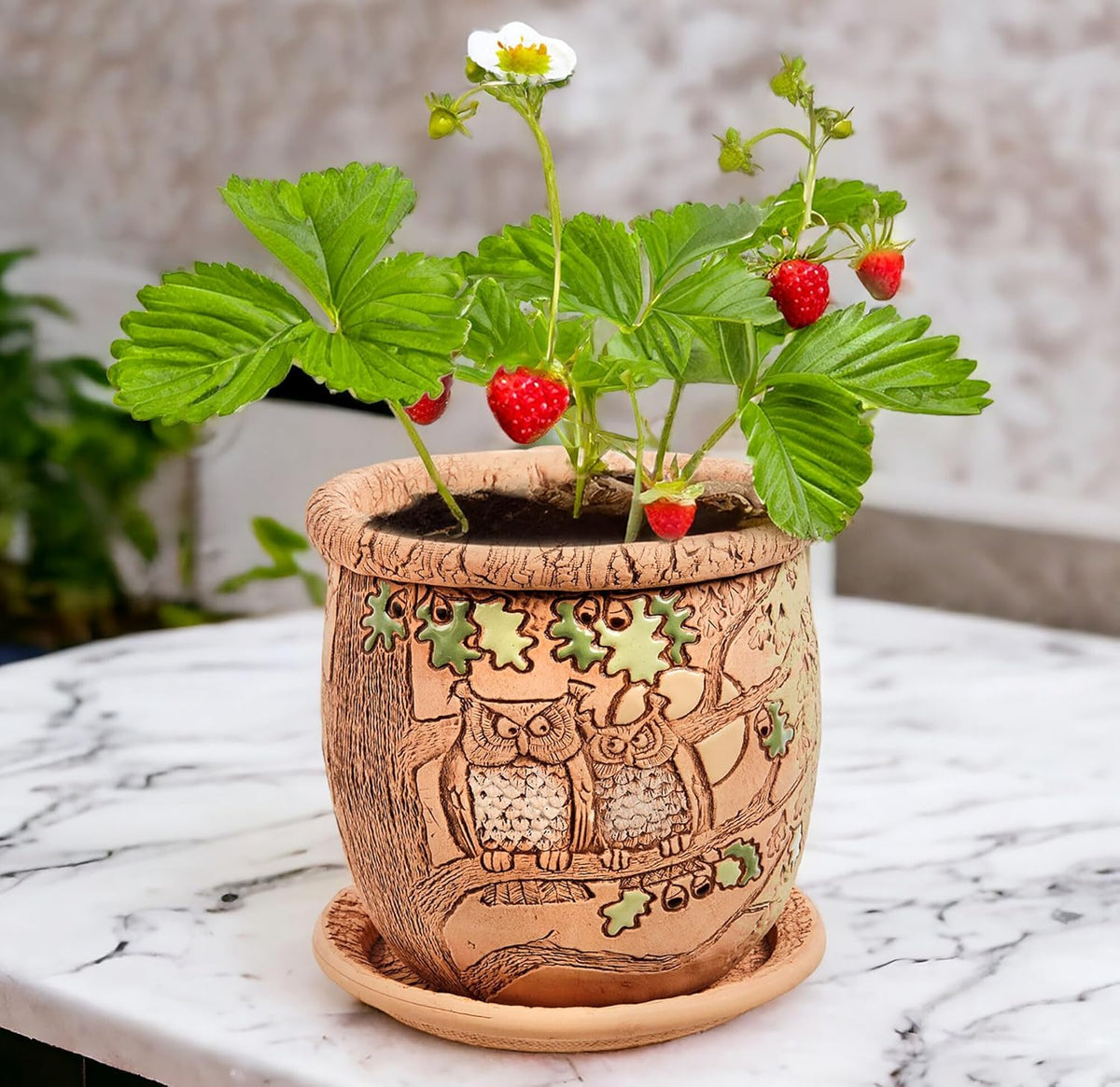 Ceramic Pot with Drainage Hole and Saucer, Plant Pots, Modern Decorative Planters for House Plants