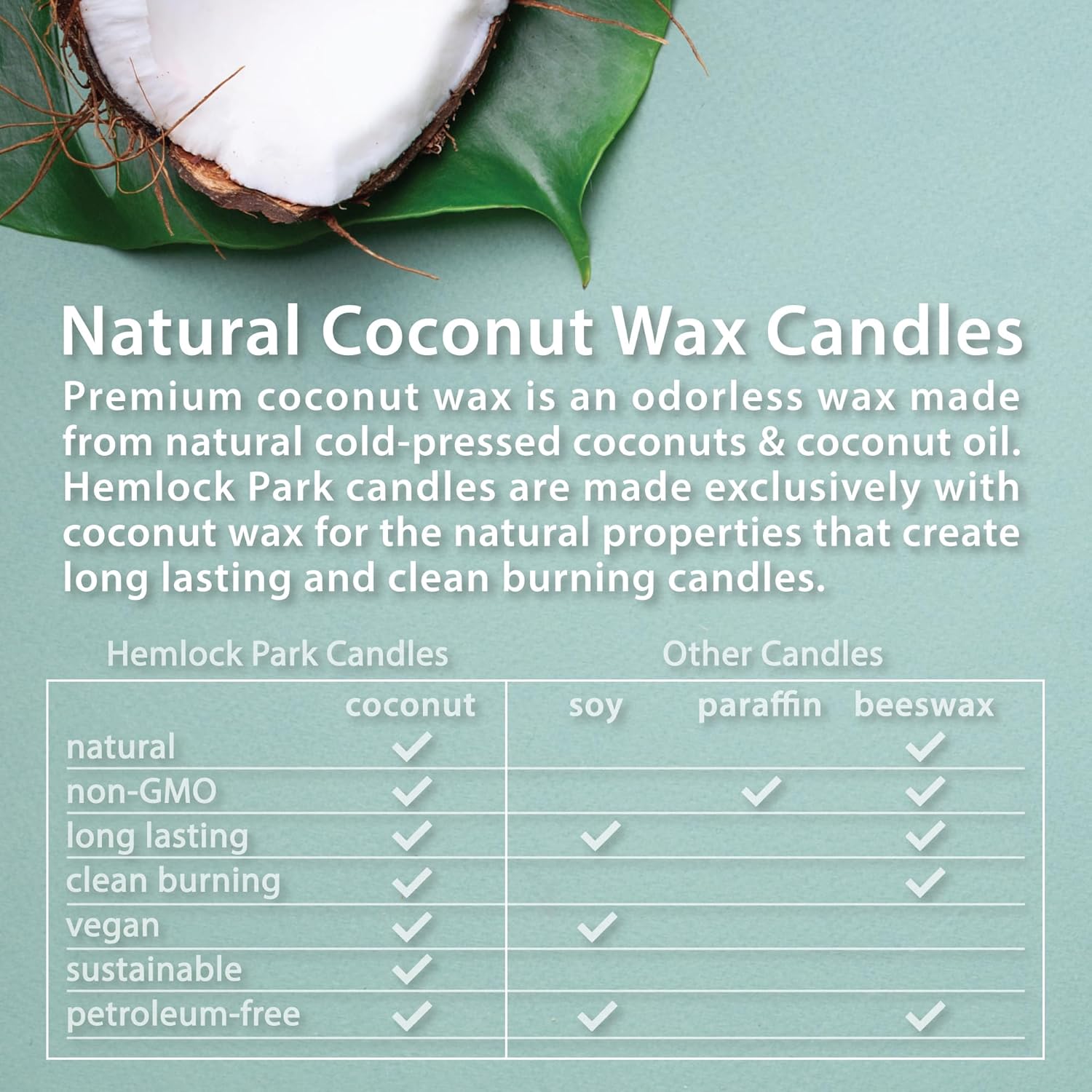 Hemlock Park Wood Wick Candle Handcrafted with Natural Coconut Wax and Essential Oils (Amber & Gold