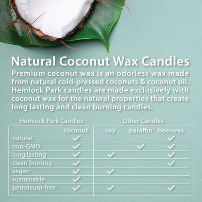 Hemlock Park Wood Wick Candle Handcrafted with Natural Coconut Wax and Essential Oils (Amber & Gold
