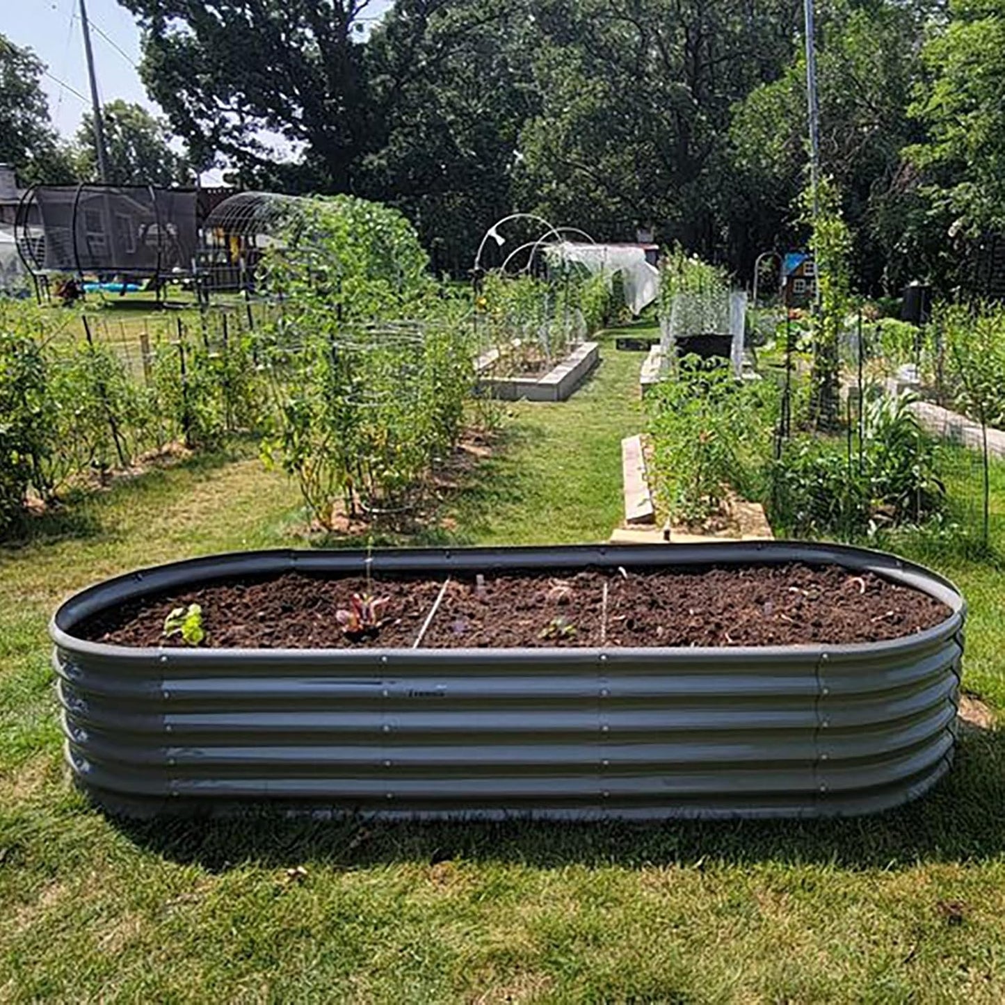 1 Pack 8x3x1.5FT Galvanized Raised Garden Bed Kit Oval Metal Ground Planter Box Outdoor Bottomless
