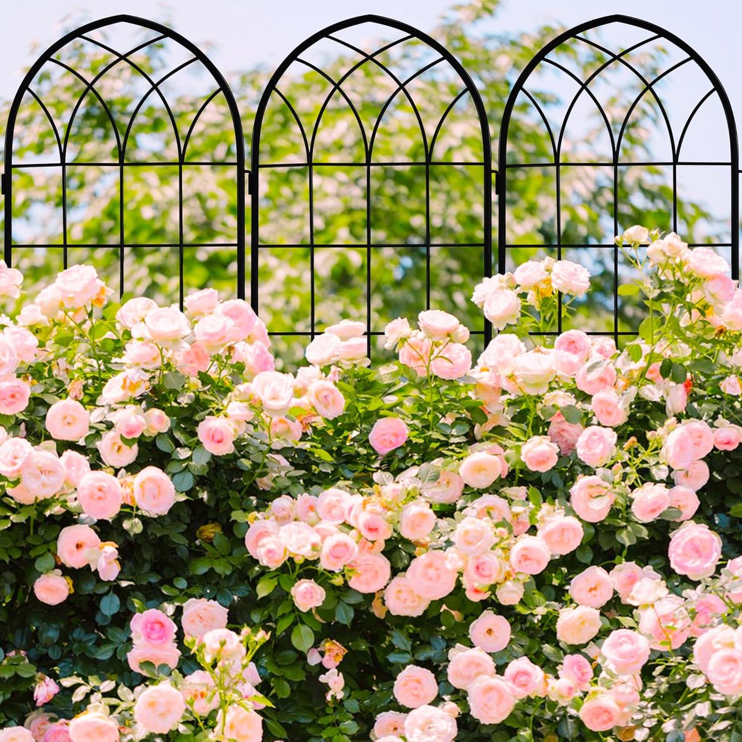 LZRS 2 Pack 71x20in Rustic Iron Arch Decoration Garden Trellis with Black Metal Coating – Perfect