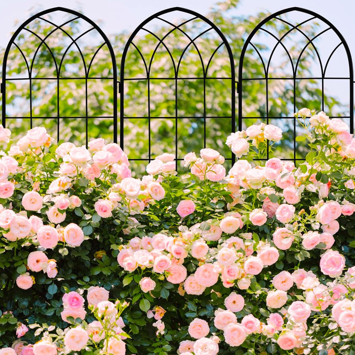 LZRS 2 Pack 71x20in Rustic Iron Arch Decoration Garden Trellis with Black Metal Coating – Perfect