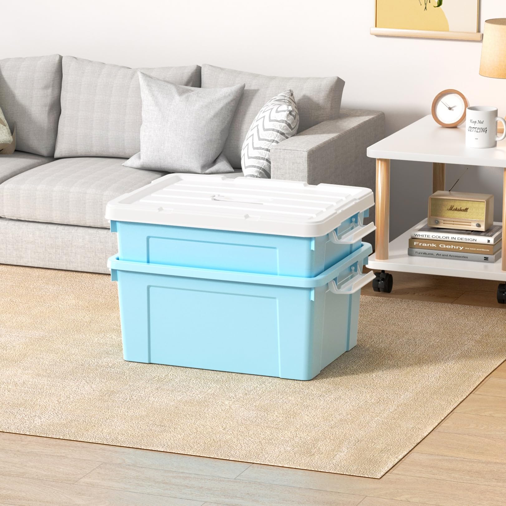 Cetomo Lidded Storage Bin with Handle, Tote Organizing Container with Durable Lid and Secure