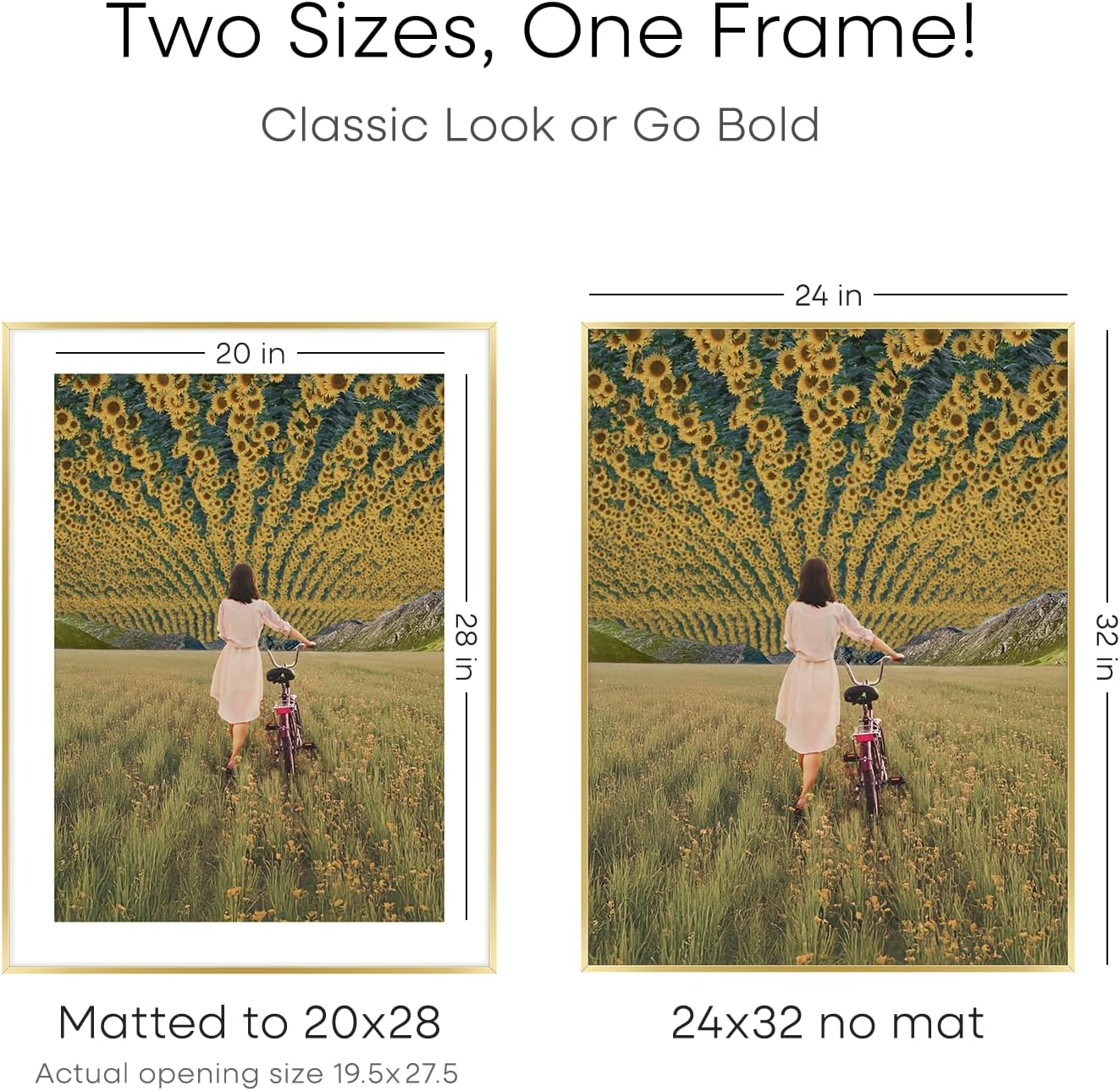 Homeforia 24x32 Poster Frame Gold, High End Metal 24 x 32 Large Picture Frames with Mat 20 by 28