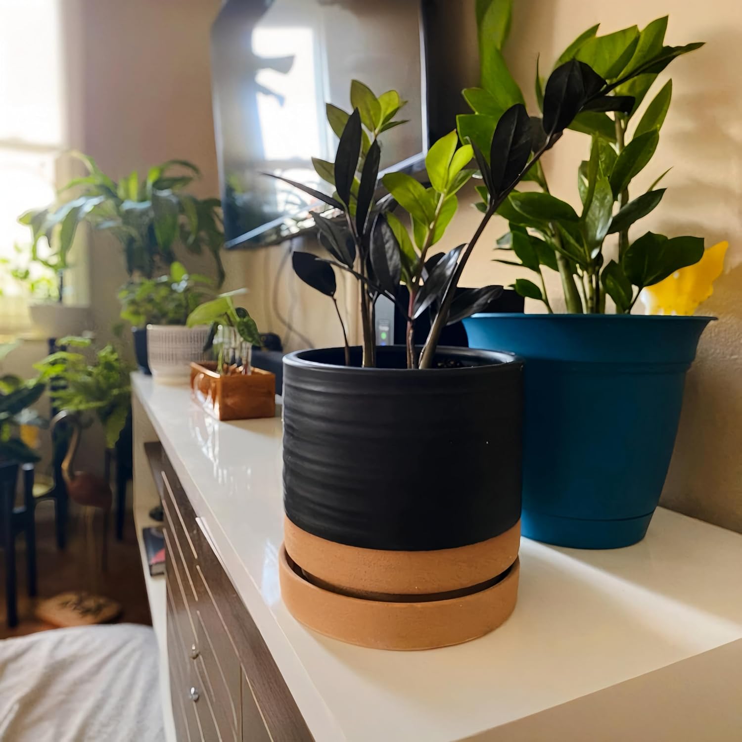 6 Inch Plant Pots, Ceramic Planter Pot with Drainage Hole & Saucer, Indoor/Outdoor Cylinder Round