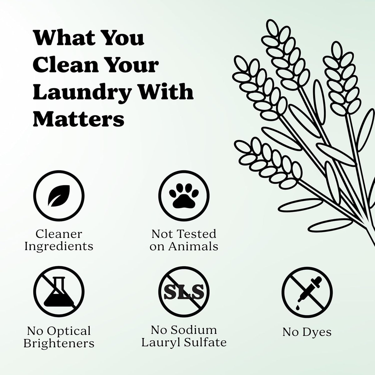 Pronounce Laundry Detergent Powder Alternative | Non-Toxic, Eco-Friendly, Natural for Sensitive